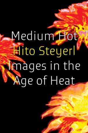 Medium Hot de Hito Steyerl