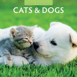 Cats & Dogs 2024 Square Wall Calendar de Red Robin Publishing Ltd.