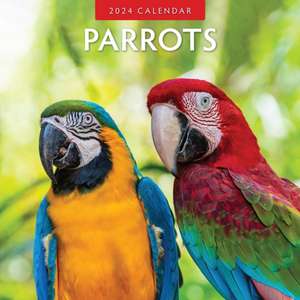 Parrots 2024 Square Wall Calendar de Red Robin Publishing Ltd.