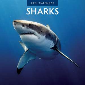 Sharks 2024 Square Wall Calendar de Red Robin Publishing Ltd.