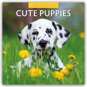 Cute Puppies - Niedliche Hundewelpen 2025 - 16-Monatskalender de Robin Red