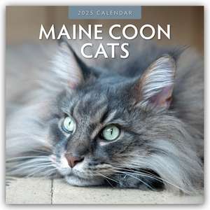 Maine Coon Cats 2025 Square Wall Calendar de Red Robin