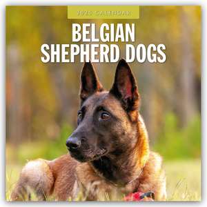 Belgian Shepherd - Belgischer Schäferhund 2025 - 16-Monatskalender de Robin Red