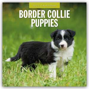 Border Collie Puppies - Border Collie Welpen 2025 - 16-Monatskalender de Robin Red