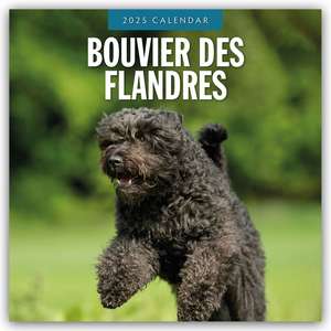 Bouvier des Flandres 2025 - 16-Monatskalender de Robin Red