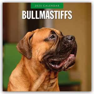 Bullmastiffs - Bullmastiff 2025 - 16-Monatskalender de Robin Red