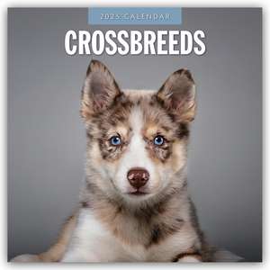 Crossbreeds - Hundemischlinge - Mischlingshunde 2025 - 16-Monatskalender de Robin Red