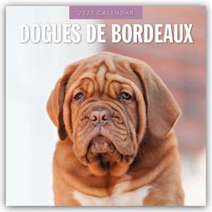 Dogues de Bordeaux - Bordeauxdoggen - Bordeaux Doggen 2025 - 16-Monatskalender de Robin Red