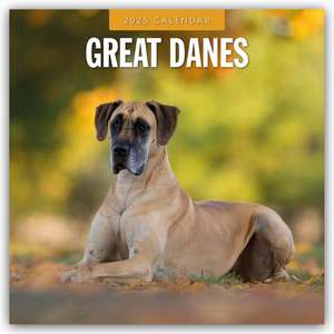 Great Danes - Deutsche Dogge 2025 - 16-Monatskalender de Robin Red