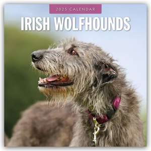 Irish Wolfhounds - Irischer Wolfshund 2025 - 16-Monatskalender de Robin Red