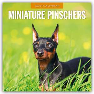 Miniature Pinschers - Zwergpinscher - Rehpinscher 2025 - 16-Monatskalender de Robin Red