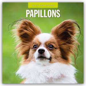 Papillons - Schmetterlingshund - Zwergspaniel 2025 - 16-Monatskalender de Robin Red