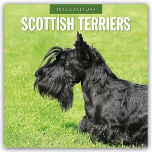 Scottish Terrier - Scotchterrier 2025 - 16-Monatskalender de Robin Red