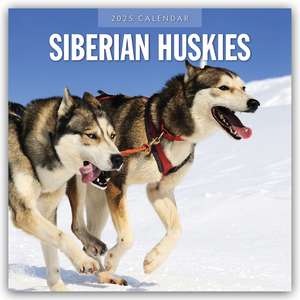 Siberian Huskies 2025 Square Wall Calendar de Red Robin