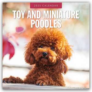 Toy and Miniature Poodles - Zwergpudel 2025 - 16-Monatskalender de Robin Red