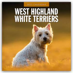 West Highland White Terriers - West Highland White Terrier - Westie 2025 - 16-Monatskalender de Robin Red