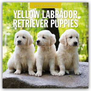 Yellow Labrador Retriever Puppies - Gelbe Labrador Retriever Welpen 2025 - 16-Monatskalender de Robin Red