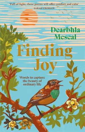 Finding Joy de Dearbhla Mescal