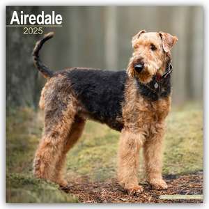 Airedale Terrier 2025 - 16-Monatskalender de Avonside Publishing