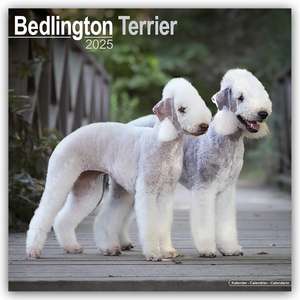 Bedlington Terrier 2025- 16-Monatskalender de Avonside Publishing Ltd.