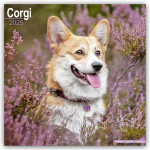 Welsh Corgi 2025 - 16-Monatskalender de Avonside Publishing Ltd