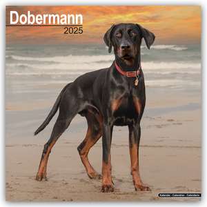 Dobermann 2025 - 16-Monatskalender de Avonside Publishing Ltd