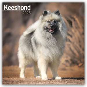 Keeshond - Wolfsspitz 2025 - 16-Monatskalender de Avonside Publishing Ltd