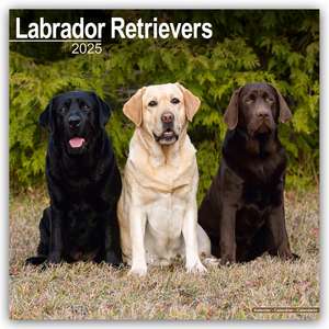 Labrador Retriever 2025 - 16-Monatskalender de Avonside Publishing Ltd