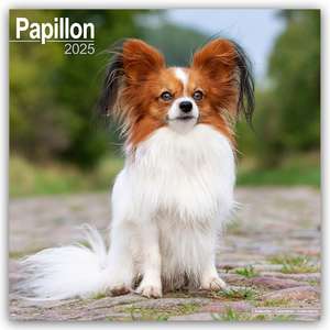 Papillon 2025 - 16-Monatskalender de Avonside Publishing Ltd