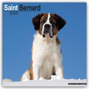 Saint Bernard - Bernhardiner 2025 - 16-Monatskalender de Avonside Publishing Ltd