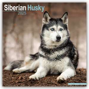 Siberian Husky - Sibirische Huskys 2025 - 16-Monatskalender de Avonside Publishing Ltd