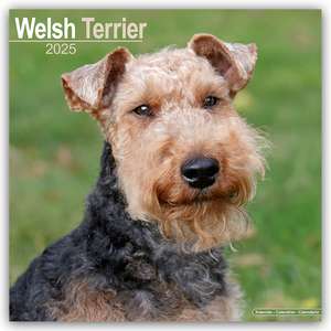 Welsh Terrier 2025 - 16-Monatskalender de Avonside Publishing Ltd