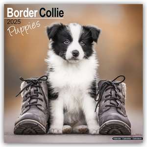 Avonside Publishing Ltd: Border Collie Puppies - Border Coll