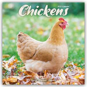 Chickens - Hühner 2025 - 16-Monatskalender de Avonside Publishing Ltd