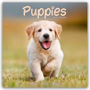 Avonside Publishing Ltd.: Puppies - Welpen 2025 16-Monatskal