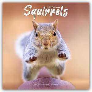 Squirrels - Eichhörnchen - Grauhörnchen 2025 - 16-Monatskalender de Avonside Publishing Ltd