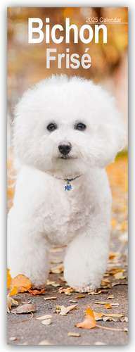 Avonside Publishing Ltd: Bichon Frisé 2025