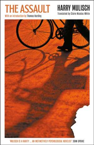 The Assault de Harry Mulisch