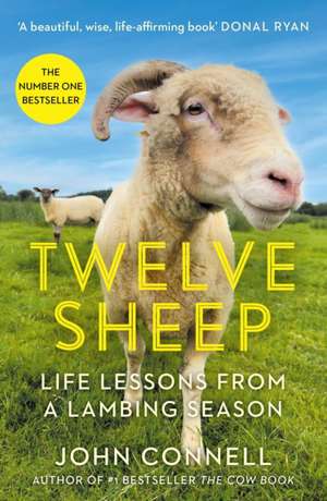 Twelve Sheep de John Connell