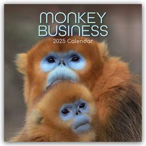 Monkey Business 2025 - 16-Monatskalender de The Gifted Stationery Co. Ltd