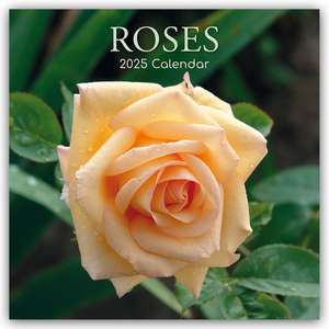 Roses - Rosen 2025 - 16-Monatskalender de Gifted Stationery Co. Ltd