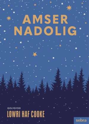 Amser Nadolig de Lowri Cooke