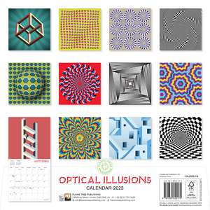 Optical Illusions Wall Calendar 2025 (Art Calendar) de Flame Tree Studio