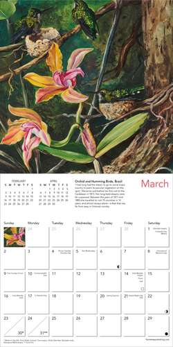 Kew Gardens: Orchids by Marianne North Mini Wall Calendar 2025 (Art Calendar) de Flame Tree Studio