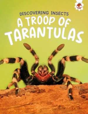 Discovering Insects: A Troop of Tarantulas de Rebecca Storm