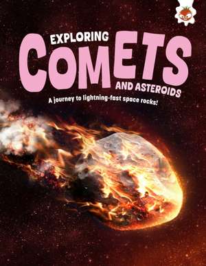 Exploring Comets and Asteroids de Rosie Rowntree