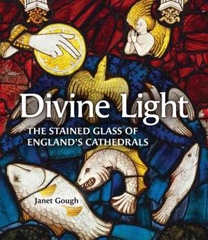Divine Light de Janet Gough
