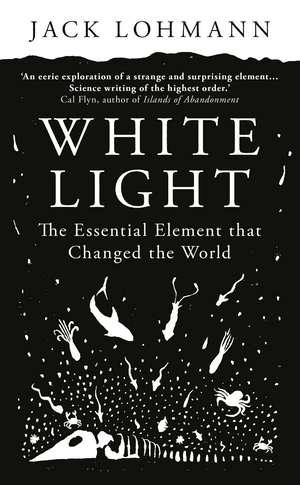 White Light de Jack Lohmann