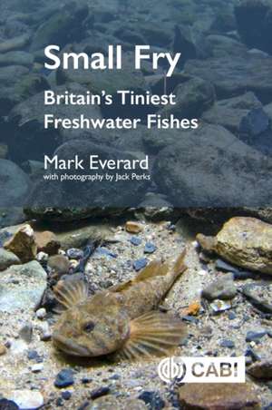 Small Fry de Mark Everard