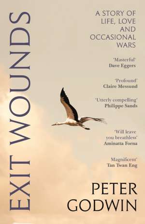 Exit Wounds de Peter Godwin